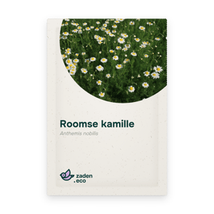 Zakje Roomse kamille
