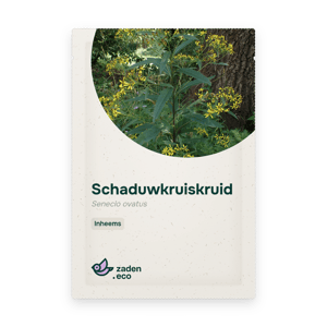 Zakje Schaduwkruiskruid