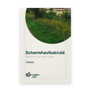 Zakje Schermhavikskruid