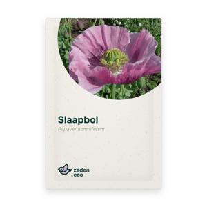 Zakje Slaapbol
