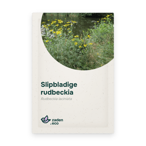 Zakje Slipbladige rudbeckia
