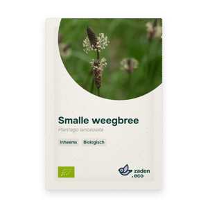 Zakje Smalle weegbree BIO