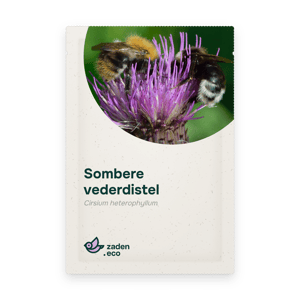 Zakje Sombere vederdistel