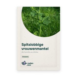 Zakje Spitslobbige vrouwenmantel