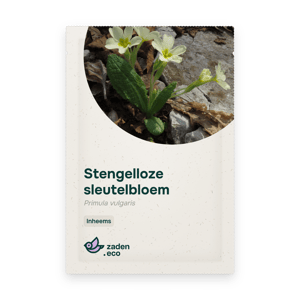 Zakje Stengelloze sleutelbloem