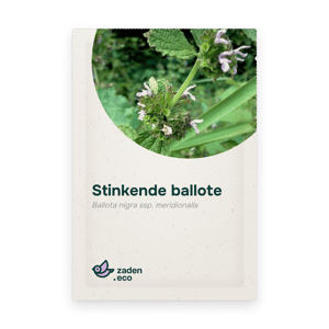 Zakje Stinkende ballote