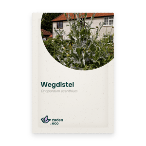 Zakje Wegdistel