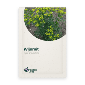 Zakje Wijnruit