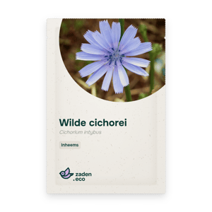 Zakje Wilde cichorei