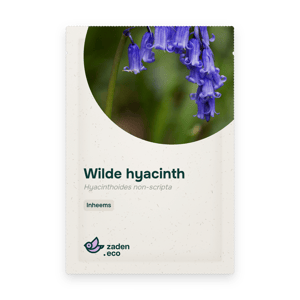 Zakje Wilde hyacinth