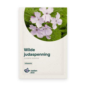 Zakje Wilde judaspenning