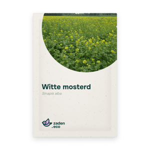 Zakje Witte mosterd