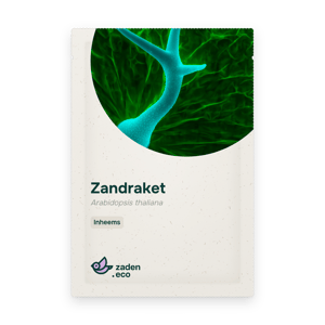 Zakje Zandraket