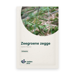 Zakje Zeegroene zegge