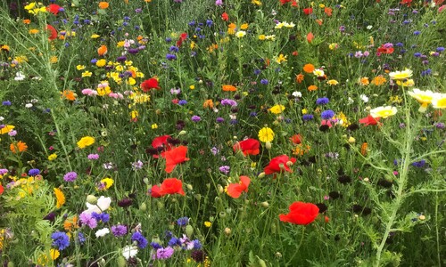 Persoonlijk cadeau voor een tuinliefhebber